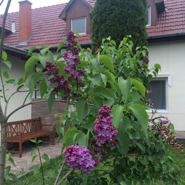 Appartement Harmonia Panzio à Bogács Extérieur photo